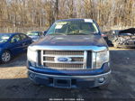 2010 Ford F-150 Fx4/lariat/xl/xlt Синий vin: 1FTFW1EV9AFC69079