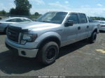 2010 Ford F-150 Xl/xlt/fx4/lariat Серебряный vin: 1FTFW1EVXAFB78757