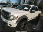 2010 Ford F-150 Lariat/fx4/xl/xlt White vin: 1FTFW1EVXAFC22840