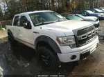 2010 Ford F-150 Lariat/fx4/xl/xlt White vin: 1FTFW1EVXAFC22840