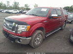 2010 Ford F-150 Xl/xlt/fx4/lariat Red vin: 1FTFW1EVXAFD10108