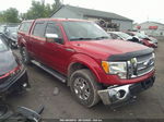 2010 Ford F-150 Xl/xlt/fx4/lariat Red vin: 1FTFW1EVXAFD10108