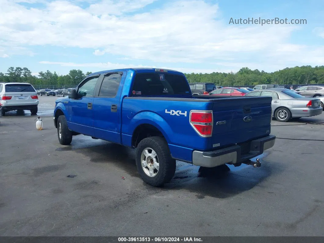 2010 Ford F-150 Fx4/harley-davidson/king Ranch/lariat/platinum/xl/xlt Blue vin: 1FTFW1EVXAFD89876