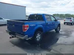 2010 Ford F-150 Fx4/harley-davidson/king Ranch/lariat/platinum/xl/xlt Blue vin: 1FTFW1EVXAFD89876