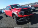 2014 Ford F-150 Svt Raptor Red vin: 1FTFW1R66EFC67184