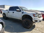 2011 Ford F150 Svt Raptor Белый vin: 1FTFW1R67BFC73555