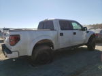 2011 Ford F150 Svt Raptor Белый vin: 1FTFW1R67BFC73555