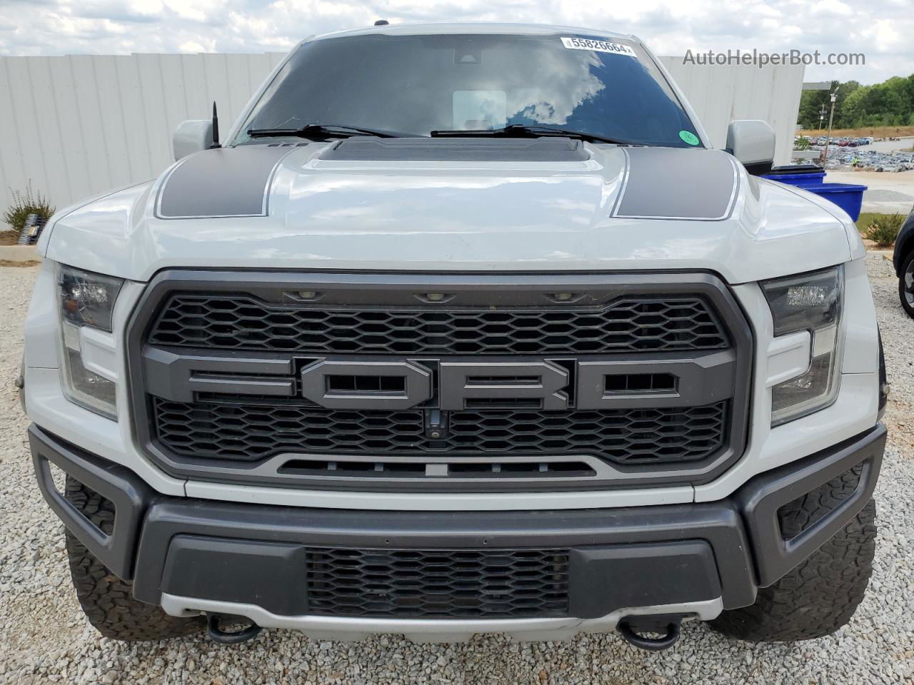 2017 Ford F150 Raptor Silver vin: 1FTFW1RG1HFB97901