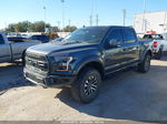 2019 Ford F-150 Raptor Gray vin: 1FTFW1RG1KFD17915