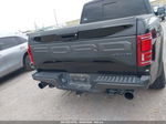 2019 Ford F-150 Raptor Black vin: 1FTFW1RG6KFA14029