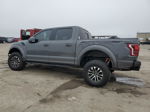 2020 Ford F150 Raptor Серый vin: 1FTFW1RG6LFA13075