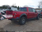 2019 Ford F-150 Raptor Red vin: 1FTFW1RG8KFA60901