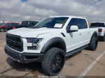 2019 Ford F-150 Raptor White vin: 1FTFW1RG8KFC86369