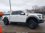 2018 Ford F-150 Raptor Белый vin: 1FTFW1RG9JFB71973