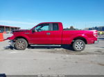 2014 Ford F-150 Xlt Maroon vin: 1FTFX1CF3EKF32902