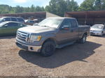 2010 Ford F-150 Fx2 Sport/lariat/xl/xlt Gray vin: 1FTFX1CV7AFD12348