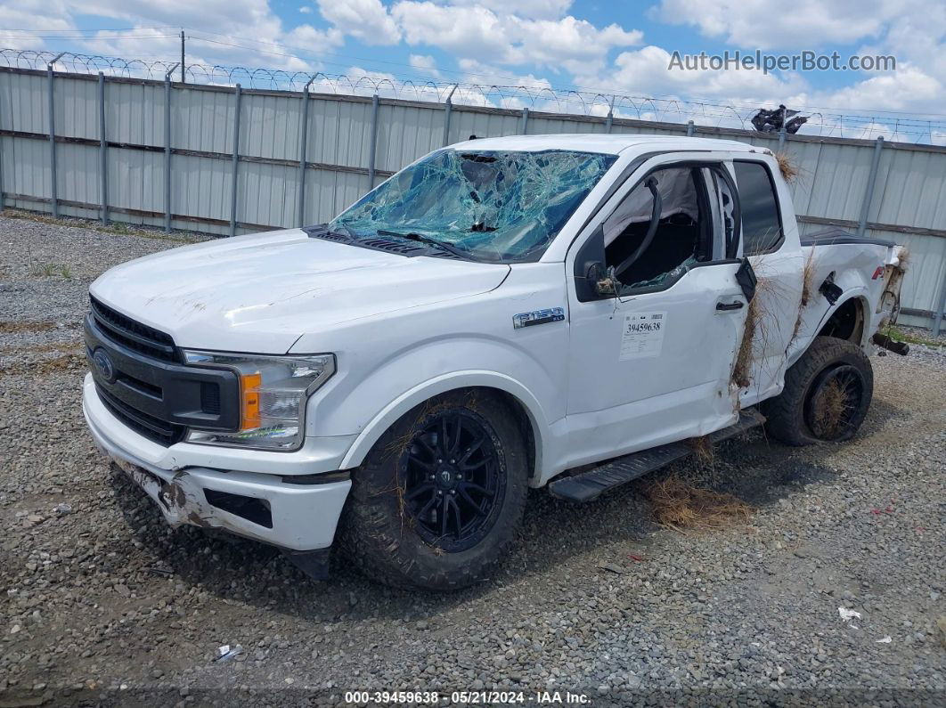 2019 Ford F-150 Xlt White vin: 1FTFX1E52KKD68736