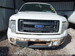 2014 Ford F-150 Stx White vin: 1FTFX1EF7EKD44851