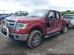 2014 Ford F-150 Xlt Темно-бордовый vin: 1FTFX1EF8EKE62536