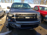 2014 Ford F150 Super Cab Gray vin: 1FTFX1ET3EFA47249