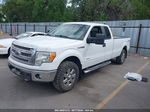 2014 Ford F-150 Xlt White vin: 1FTFX1ET3EKE64541