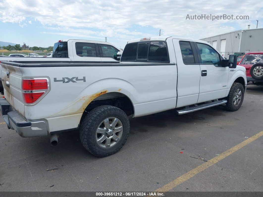 2014 Ford F-150 Xlt White vin: 1FTFX1ET3EKE64541