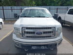 2014 Ford F-150 Xlt White vin: 1FTFX1ET3EKE64541