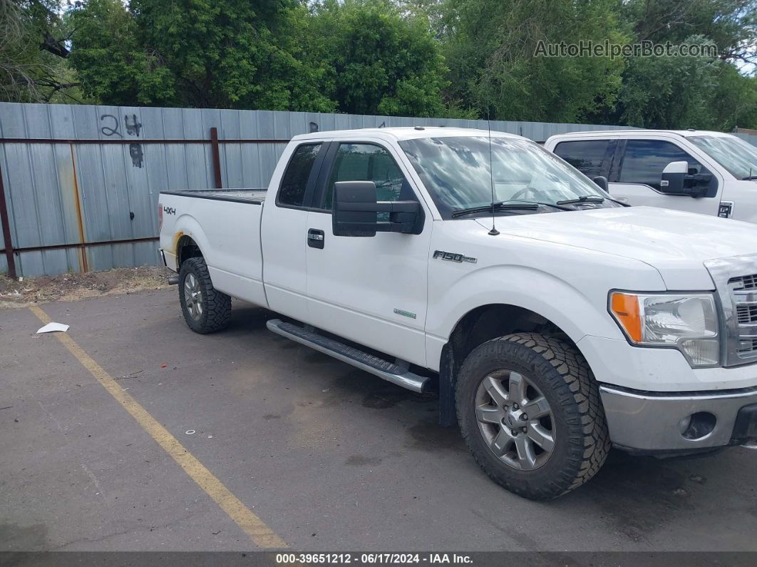 2014 Ford F-150 Xlt White vin: 1FTFX1ET3EKE64541