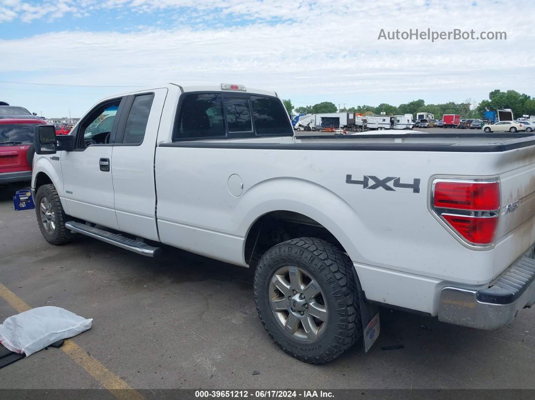 2014 Ford F-150 Xlt White vin: 1FTFX1ET3EKE64541