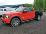 2011 Ford F150 Super Cab Красный vin: 1FTFX1ET4BFB80081