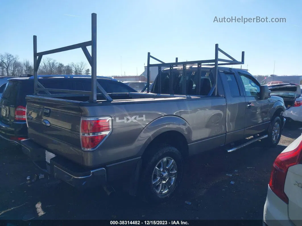 2014 Ford F-150 Xlt Gray vin: 1FTFX1ET6EKD78320