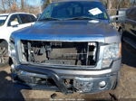 2014 Ford F-150 Xlt Gray vin: 1FTFX1ET6EKD78320