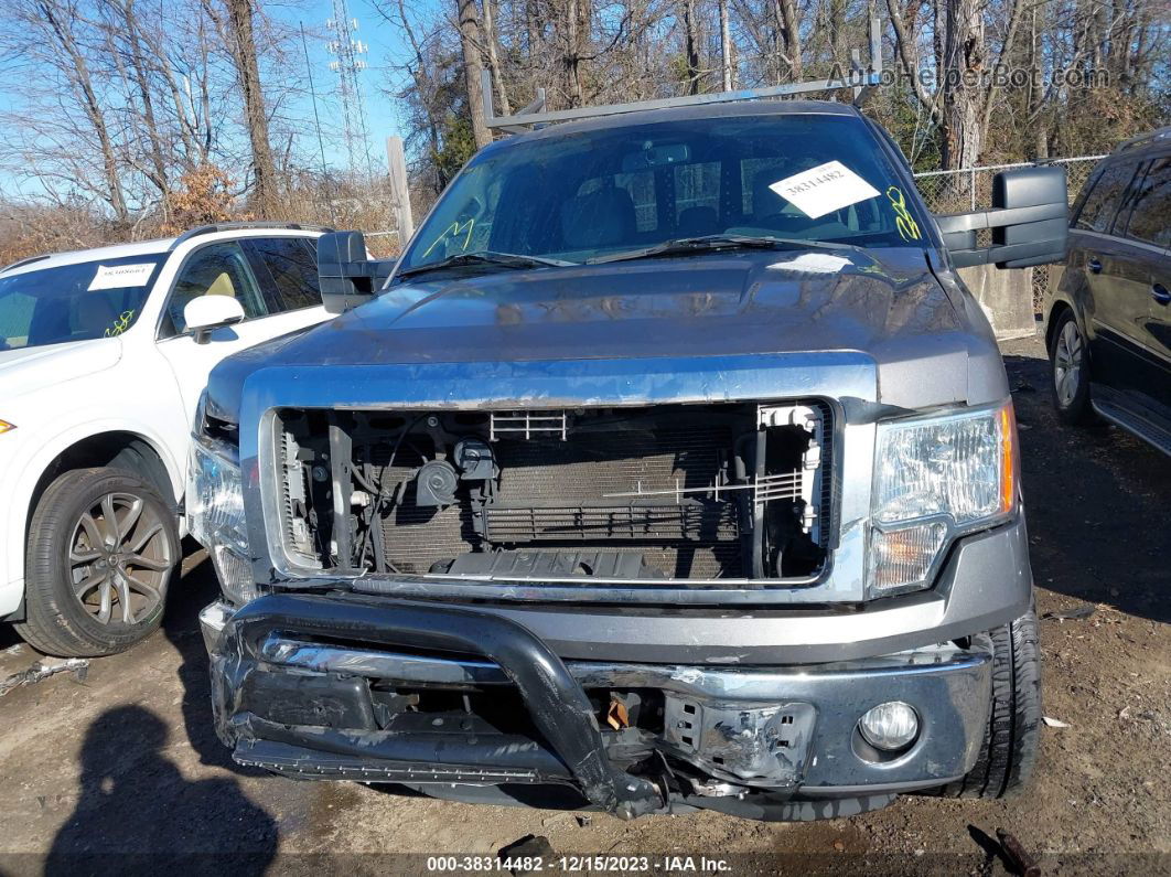 2014 Ford F-150 Xlt Gray vin: 1FTFX1ET6EKD78320