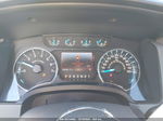 2014 Ford F-150 Xlt Gray vin: 1FTFX1ET6EKD78320