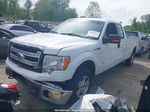 2014 Ford F-150 Xlt White vin: 1FTFX1ET8EKD27854