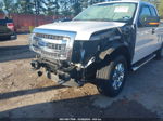 2014 Ford F-150 Xlt White vin: 1FTFX1ETXEFA06925