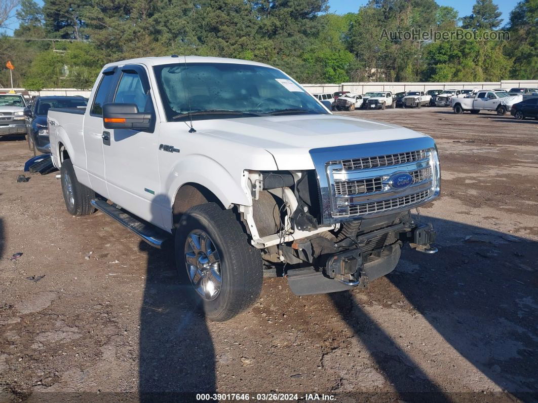 2014 Ford F-150 Xlt White vin: 1FTFX1ETXEFA06925