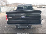 2014 Ford F-150 Xlt Black vin: 1FTFX1ETXEFA91748