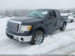 2010 Ford F-150 Fx4/lariat/xl/xlt Black vin: 1FTFX1EV1AFD03366