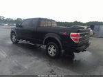 2010 Ford F-150 Xl/xlt/fx4/lariat Черный vin: 1FTFX1EV1AFD90394