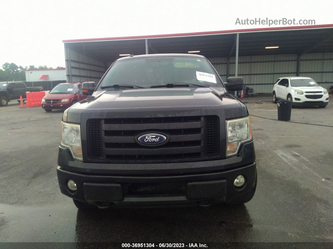 2010 Ford F-150 Xl/xlt/fx4/lariat Black vin: 1FTFX1EV1AFD90394