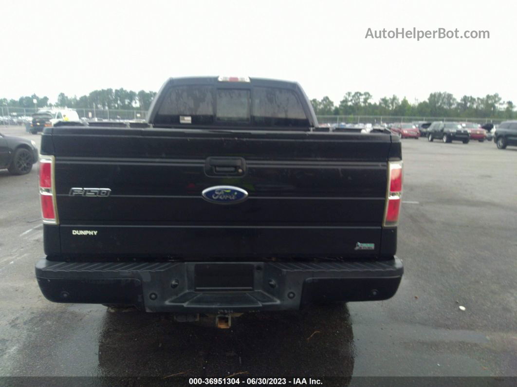 2010 Ford F-150 Xl/xlt/fx4/lariat Black vin: 1FTFX1EV1AFD90394