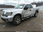 2010 Ford F-150 Fx4/lariat/xl/xlt Silver vin: 1FTFX1EV2AFA82053