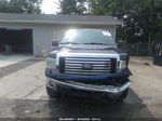 2010 Ford F-150 Xl/xlt/fx4/lariat Blue vin: 1FTFX1EV2AFA98043