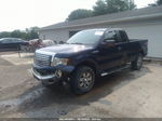 2010 Ford F-150 Xl/xlt/fx4/lariat Blue vin: 1FTFX1EV2AFA98043