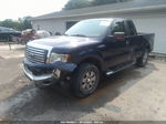 2010 Ford F-150 Xl/xlt/fx4/lariat Blue vin: 1FTFX1EV2AFA98043