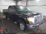 2010 Ford F-150 Fx4/lariat/xl/xlt Black vin: 1FTFX1EV4AFA18046