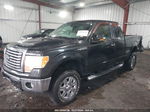 2010 Ford F-150 Fx4/lariat/xl/xlt Black vin: 1FTFX1EV4AFA18046