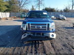 2010 Ford F-150 Fx4/lariat/xl/xlt Синий vin: 1FTFX1EV4AKB36217