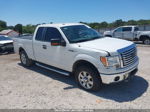 2010 Ford F-150 Xl/xlt/fx4/lariat White vin: 1FTFX1EV4AKE76130